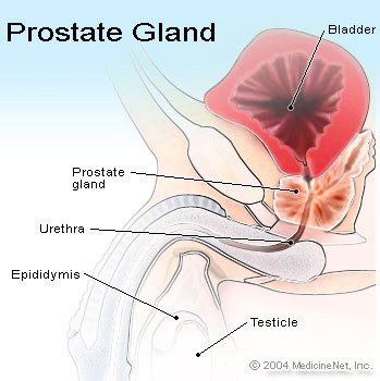 a prostatitis injekció kezelése